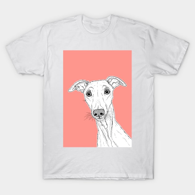 Whippet Dog Portrait ( coral background ) T-Shirt by AdamRegester